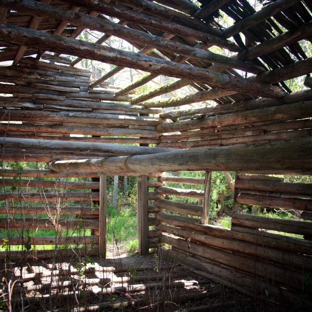 An interior view of a rustic, dilapidated log structure with missing walls and a roof, revealing a forested background.