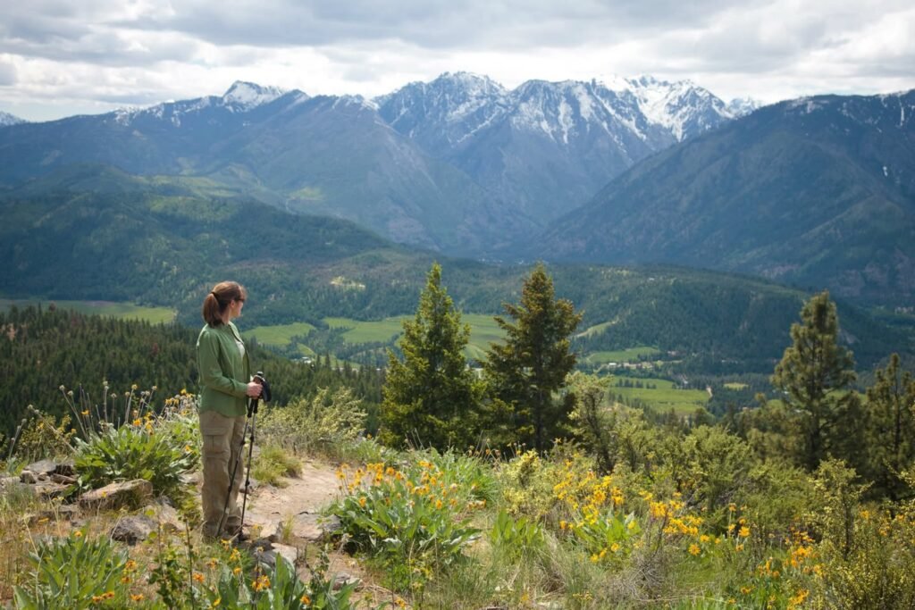 A person stands on a trail overlooking a vast mountain range with snow-capped peaks and lush green valley.