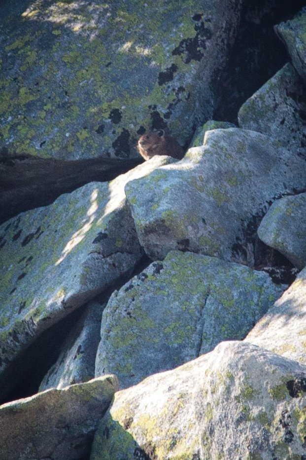 A close-up view of stacked rocks and natural textures.