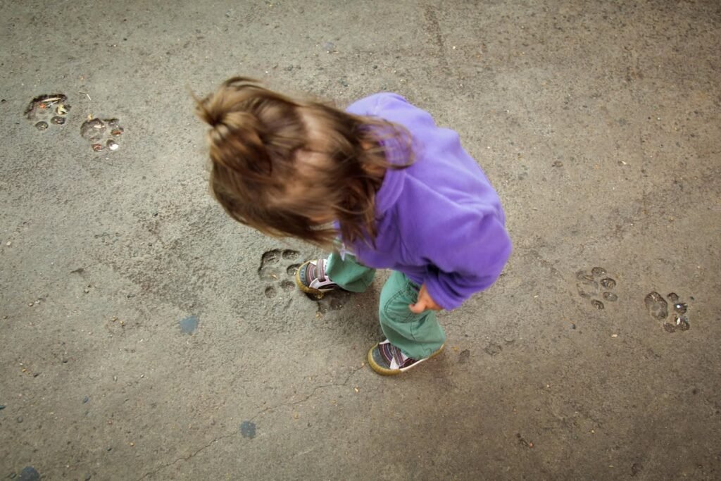 A young child in a purple shirt stands on a concrete path near small animal paw prints.