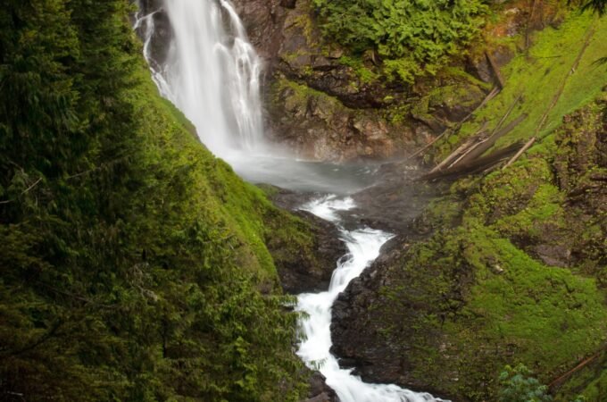 A beautiful waterfall cascading down lush, moss-covered rocks in a dense forest setting, capturing the serene beauty of the Pacific Northwest.