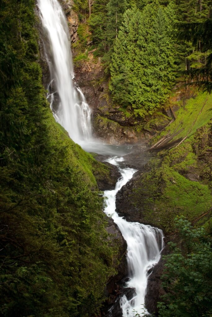 A beautiful waterfall cascading down lush, moss-covered rocks in a dense forest setting, capturing the serene beauty of the Pacific Northwest.