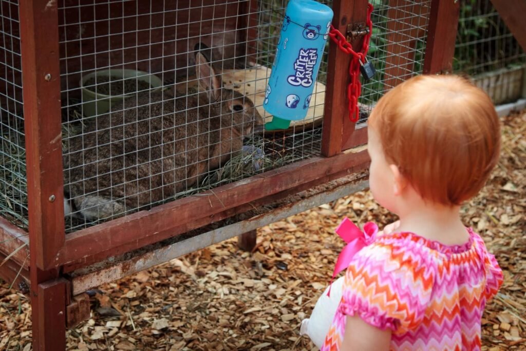 A child in a pink dress looks closely at a rabbit inside a mesh enclosure.