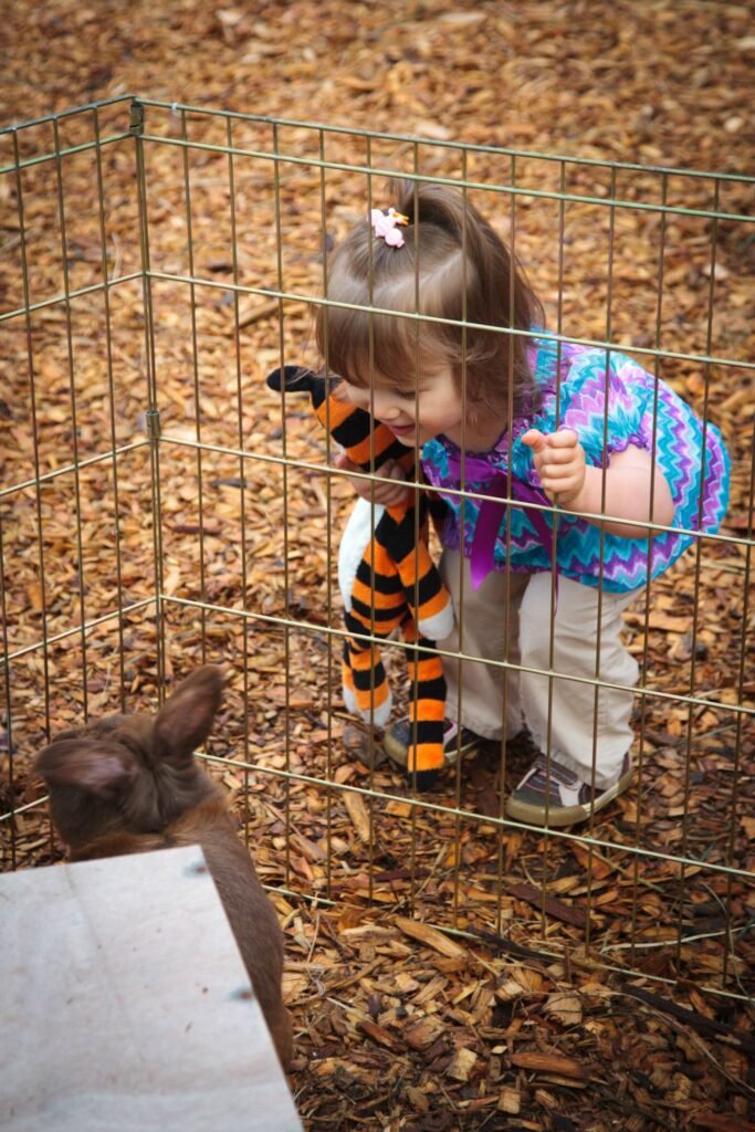 A child dressed in Halloween costume plays with a chocolate piglet at zoo.
