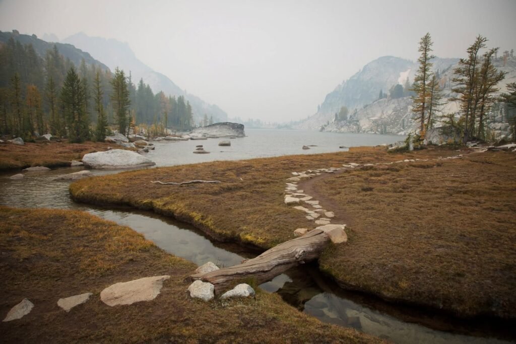 A series of views showing a small creek winding through mossy terrain at a lakeside. The background features misty mountains under a cloudy sky.