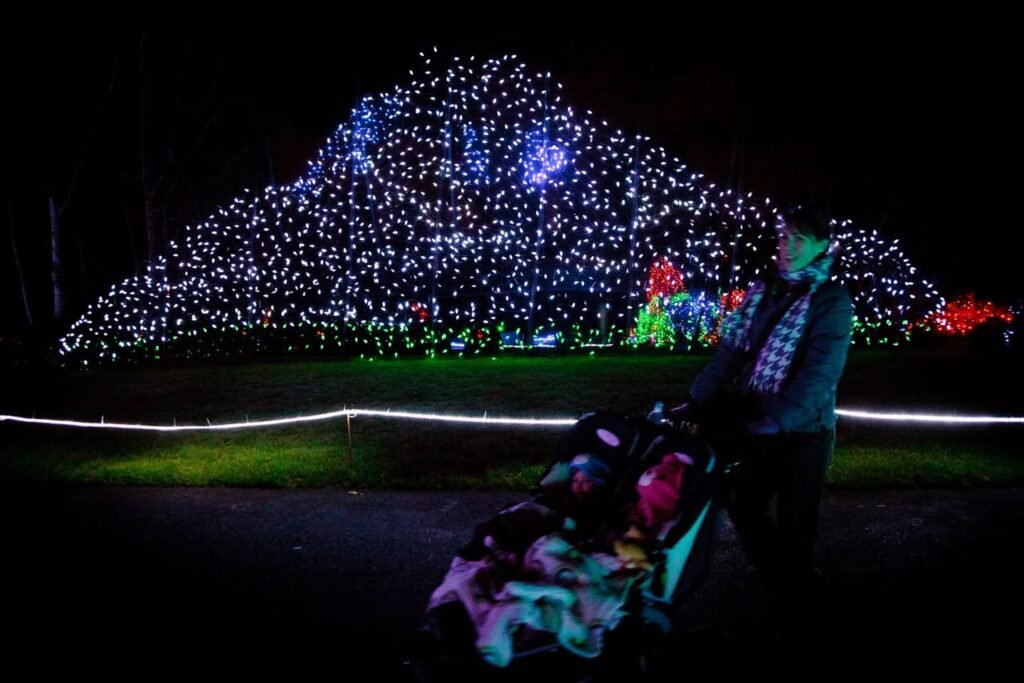 A large, brightly lit Christmas tree with tiny white and blue lights, and a person pushing a child in a stroller at night