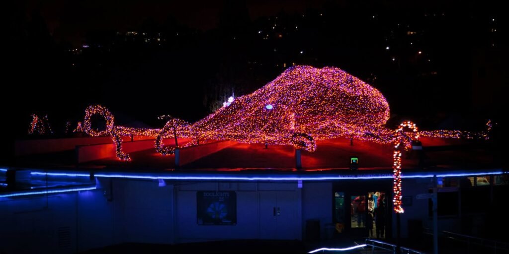 A nighttime view featuring elaborate red and blue holiday lights decorating a house in the Pacific Northwest, highlighting the festive season with creative illumination.
