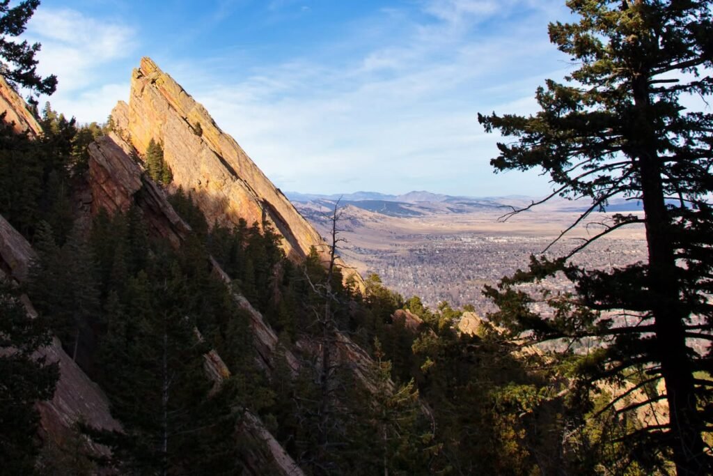 A golden-hour view of a rocky mountain peak overlooking a valley, framed by pine trees.