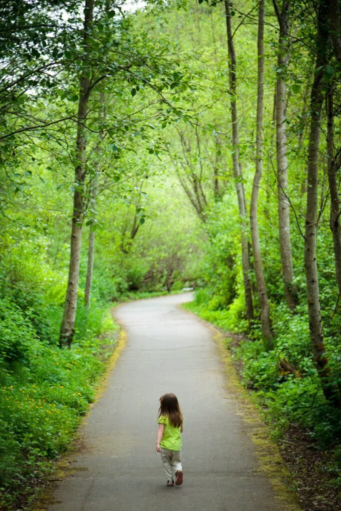 A paved path winds through a green forest as a figure walks away, surrounded by tall trees and vibrant foliage.