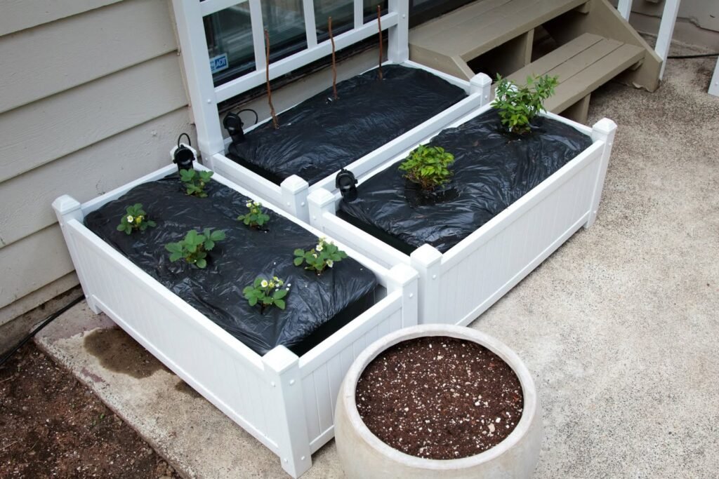 DIY White Raised Garden Beds