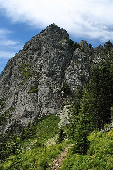 A scenic trail winds through a lush green forest, leading towards a majestic rocky mountain peak under a partly cloudy sky.