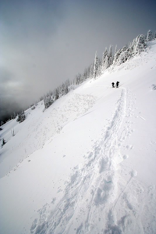 Two people hiking up a snowy mountain with snow-covered trees in the background.