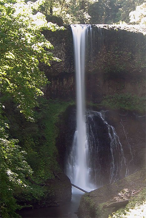 A tall, cascading waterfall surrounded by lush greenery in a serene forest setting. The water flows gracefully over moss-covered rocks.