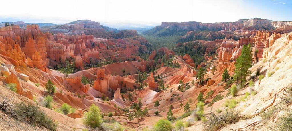 A breathtaking view to the red rock formations and lush green trees. The dramatic landscape unfolds with towering cliffs and vast canyon views.