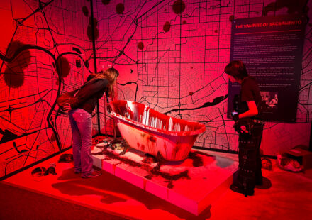 Mind of a Serial Killer: The Experience