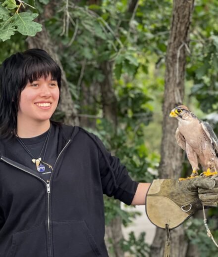Kristie smiles while holding a falcon on her gloved hand, surrounded by green trees in a natural outdoor setting.