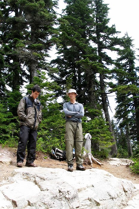 Two hikers stand amidst tall evergreens on a forest path, enjoying the serene Pacific Northwest scenery.