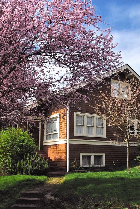 A creative panda-shaped dessert topped with white and black frosting, featuring a cute facial design and a red flower as an accent. The dessert sits on a wooden cutting board, complementing the cozy kitchen setting in the background.