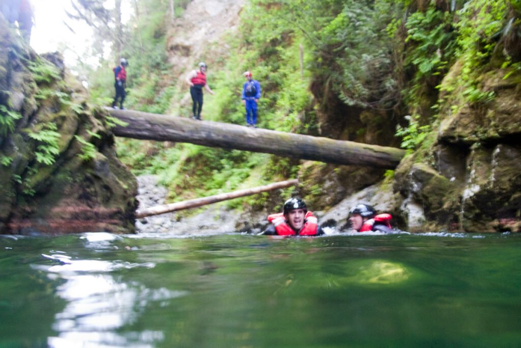 Two people wearing red life jackets leap from a log into a serene river. Another person stands near the log, observing the activity amidst lush greenery.