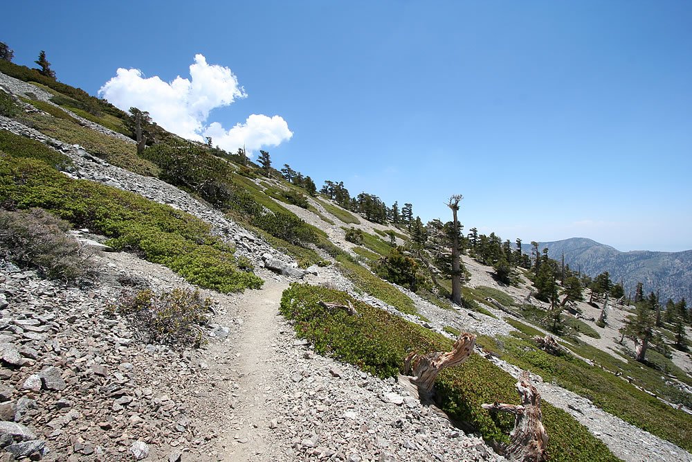 A winding dirt trail cuts through a lush alpine meadow under a bright blue sky with fluffy white clouds. In the background, distant mountains add depth to the picturesque landscape.