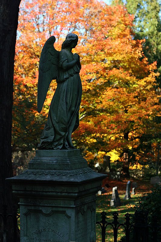 A bronze angel statue stands solemnly against a backdrop of orange and yellow fall leaves in a serene cemetery setting.