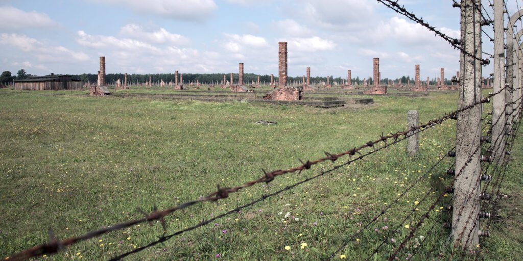 A grassy field with remnants of the Auschwitz concentration camp, viewed through a barbed wire fence.