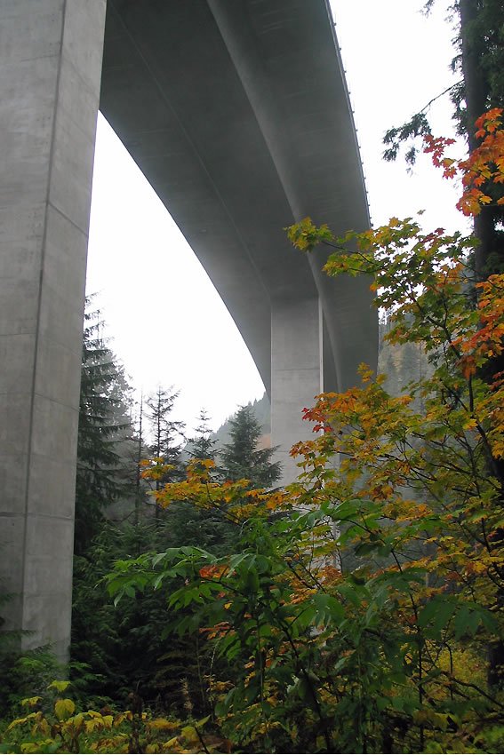 Concrete highway bridge towers rise into the sky, framed by vibrant autumn leaves in shades of orange, yellow, and green. The scene captures a quiet moment where nature meets infrastructure in the Pacific Northwest.