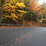 Rockport A winding road curves through a vibrant autumn forest with colorful leaves and a guardrail on the side.