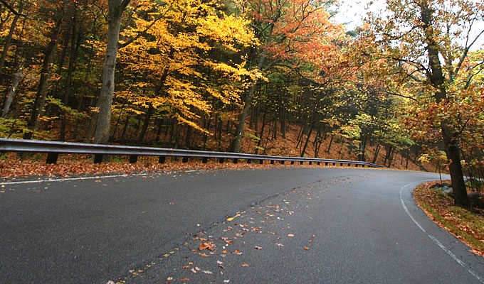 A winding road curves through a vibrant autumn forest with colorful leaves and a guardrail on the side.