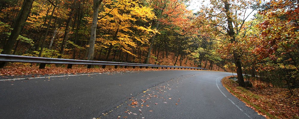 A winding road curves through a vibrant autumn forest with colorful leaves and a guardrail on the side.