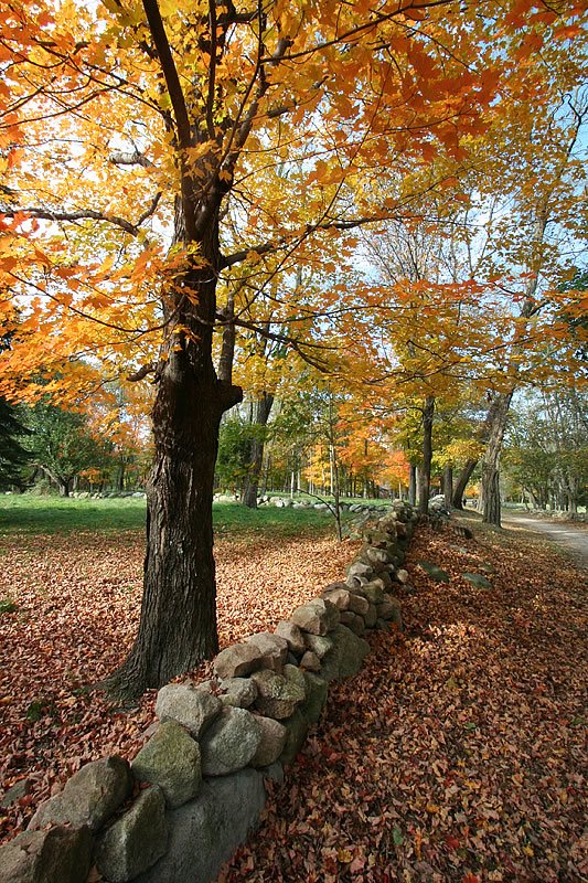 A stone wall lines a path covered in fallen leaves beneath vibrant autumn trees. The scene captures the essence of a peaceful fall day in a rural setting.