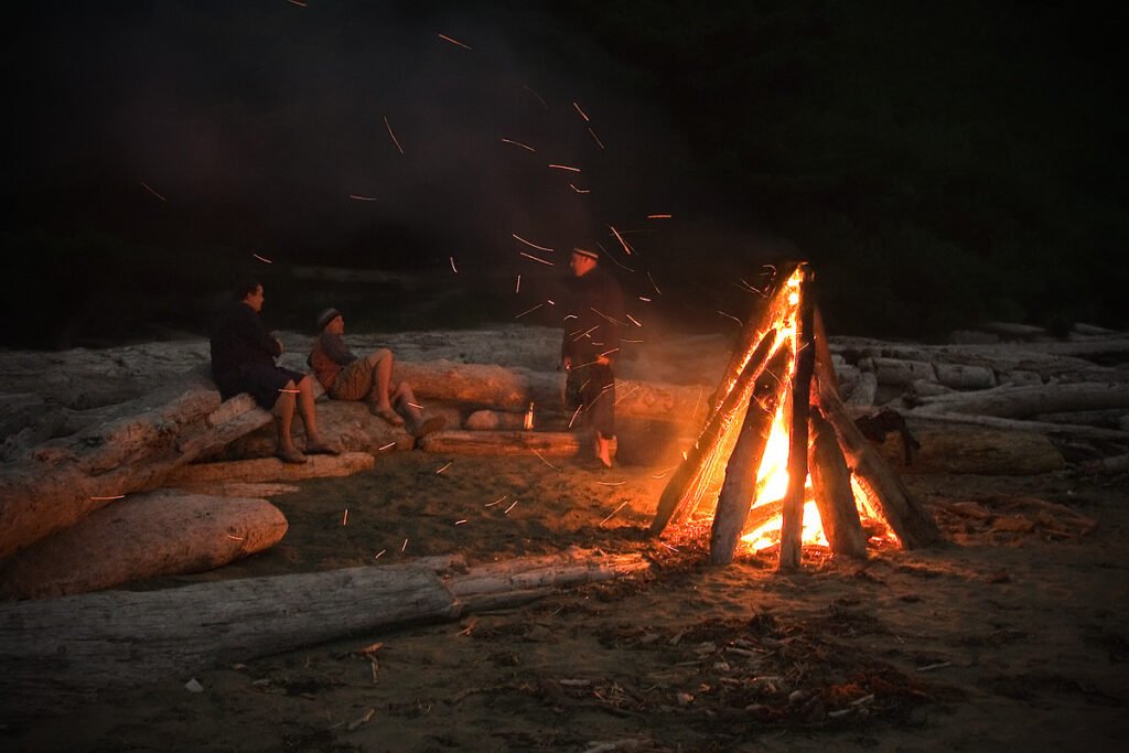 A couple sitting by a glowing bonfire on the beach, surrounded by driftwood under the night sky.
