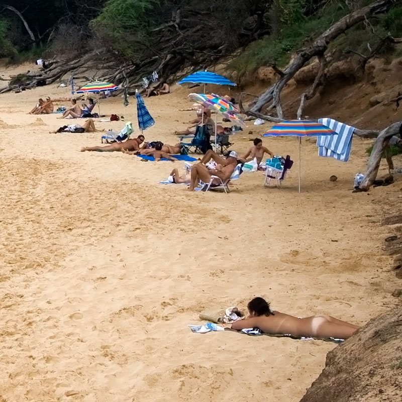 Groups of people sunbathing and relaxing under colorful beach umbrellas on a golden sand beach with trees in the background.