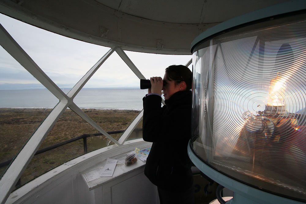 A person using binoculars inside a tower, observing birds near the sea.