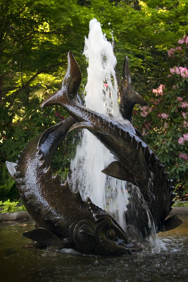 A photorealistic bronze sculpture of large salmon leaping upwards out of water. The fountain is surrounded by lush green foliage and pink flowers in the Pacific Northwest.