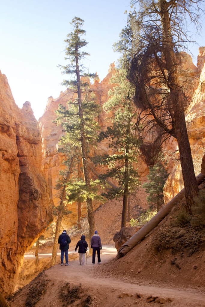 A group of adventurers trekking through Bryce Canyon's stunning hickory trails. Surrounded by towering red rock spires, the scene captures the awe-inspiring beauty of nature.