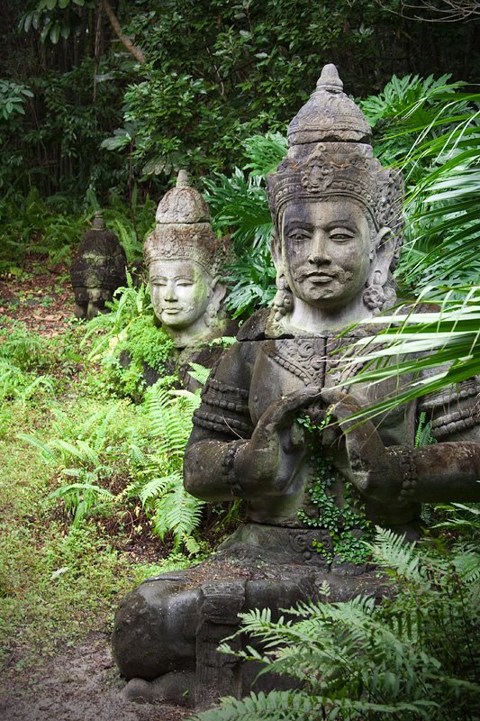 Stone Buddha statues surrounded by lush ferns and greenery, evoking a serene atmosphere.