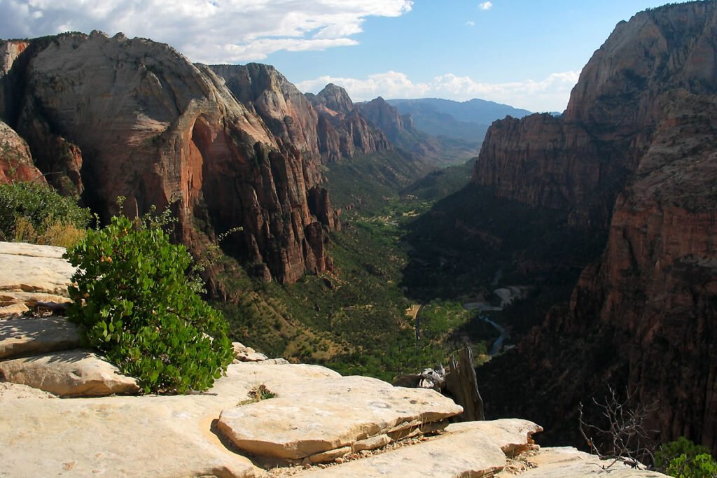 A breathtaking view of a deep canyon with rugged cliffs and a serene valley below. The foreground features a flat rock ledge with a small green bush, emphasizing the vastness and beauty of the natural landscape.