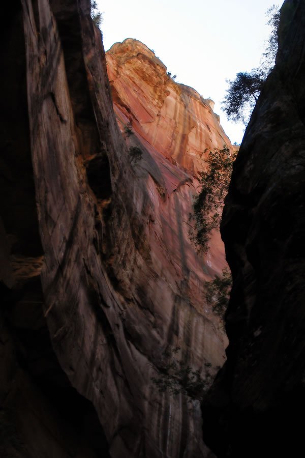 A view of towering red rock canyon walls, with one side in deep shadow and the other catching the warm light of sunset.