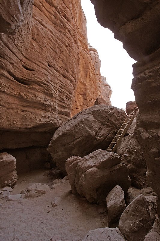 A narrow canyon with towering red rock walls and a ladder leading upwards, surrounded by boulders.
