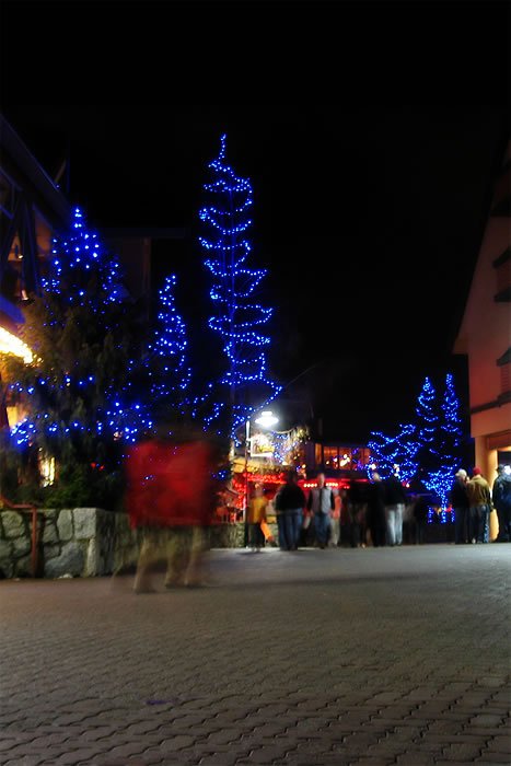 A festive winter night scene with illuminated blue Christmas trees along a cobblestone street. Shoppers and visitors browse nearby market stalls under the starry sky.