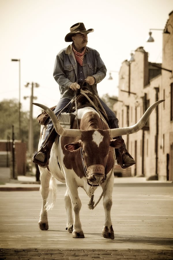 A cowboy rides a Texas Longhorn down a dusty, historic town street. Traditional western attire and rustic architecture highlight the Old West atmosphere.