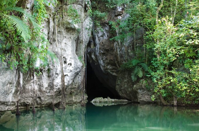 A crocodile rests near a cave entrance surrounded by lush greenery and calm water.