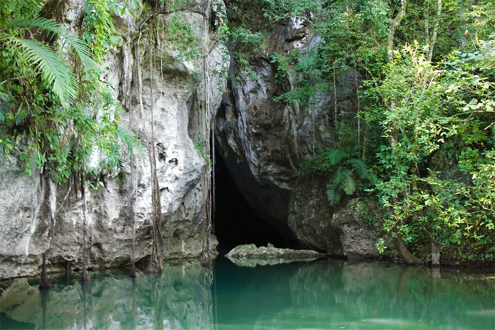 A crocodile rests near a cave entrance surrounded by lush greenery and calm water.