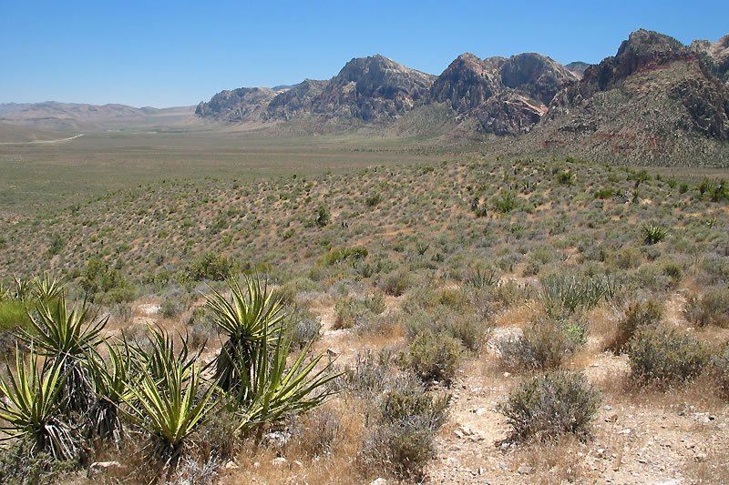 A sprawling desert landscape with sparse vegetation and rugged mountains in the background.