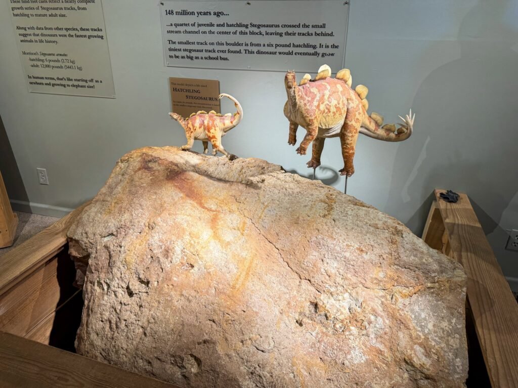 Two small dinosaur figurines posed on a large textured rock in a museum display, with informational plaques visible on the wall behind them.