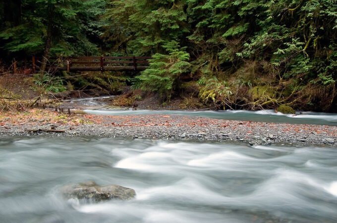 A serene river winds through a dense, mossy forest. The long exposure technique captures the smooth movement of the flowing water.