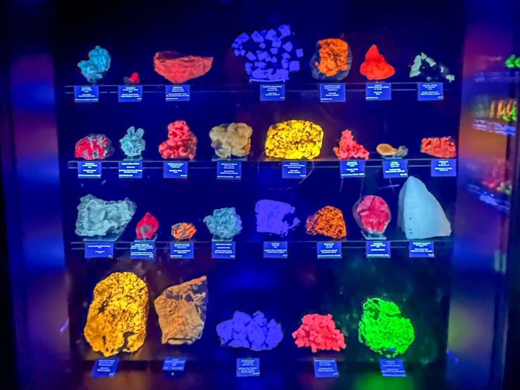 A mesmerizing display of fluorescent minerals glowing in various colors under UV light. Each specimen is labeled, showcasing their unique radiance.
