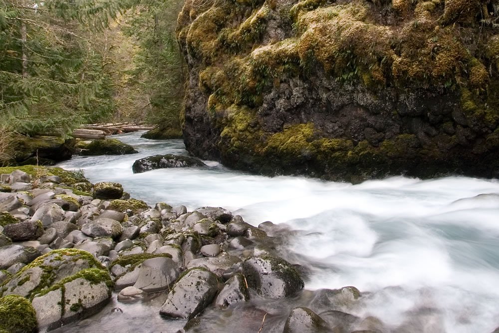 Rushing water flows over moss-covered rocks in a forested area.