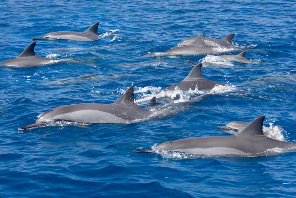 Eight individuals, including one wearing a Santa hat, gathered closely and smiling at the camera.